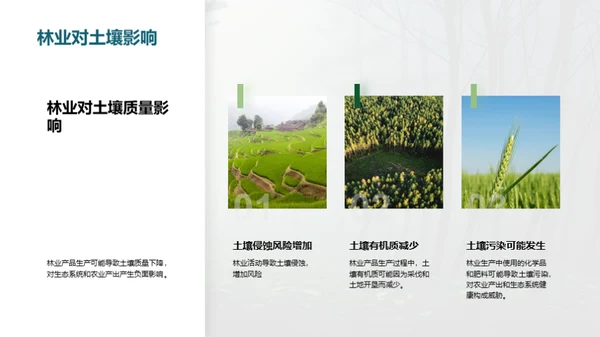 绿色林业：守护地球