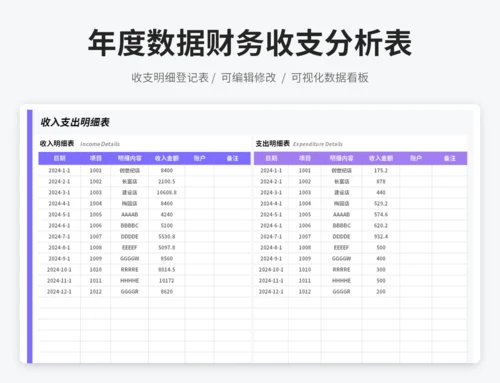 年度数据财务收支分析表