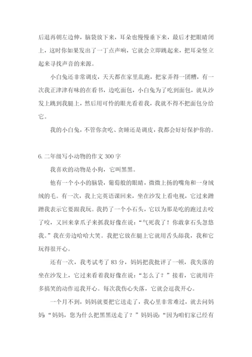 二年级写小动物的作文300字.docx
