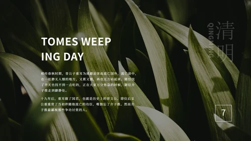 绿色大气清新绿植清明节主题PPT模板