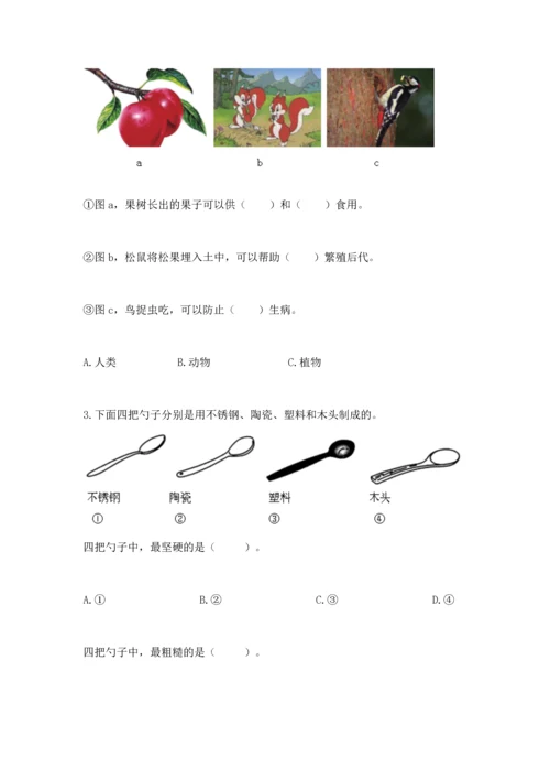教科版二年级上册科学期末测试卷精品（实用）.docx