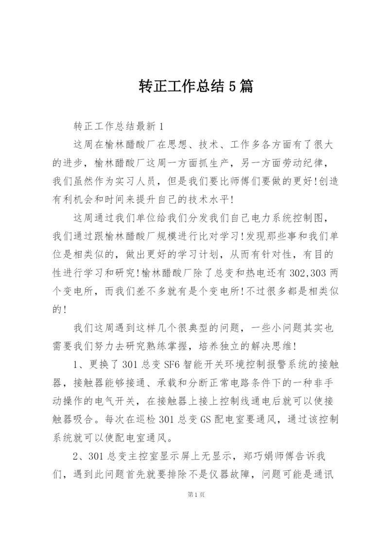 转正工作总结5篇.docx