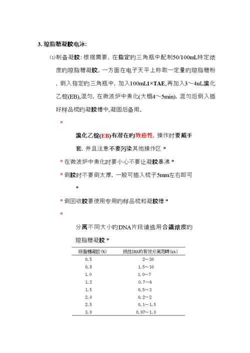 分子生物学实验常规重点技术操作