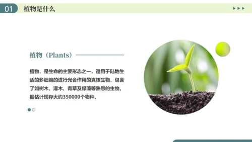 植物介绍笔记植物分类知识科普通用PPT模板