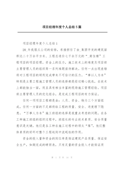 项目经理年度个人总结5篇.docx