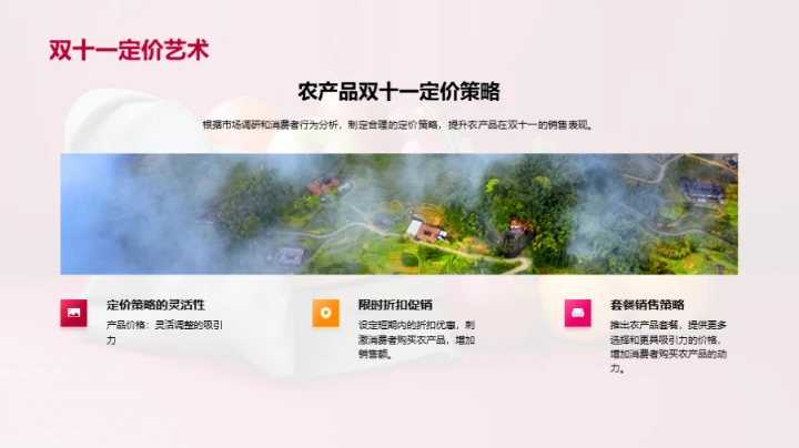 双十一 农产品新机遇