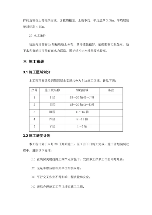 支撑综合项目施工专项方案.docx