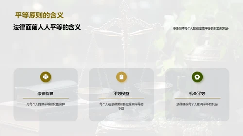 法治中的平等原则