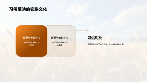 解析夏至的科学与文化