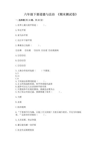 六年级下册道德与法治 《期末测试卷》（突破训练）.docx