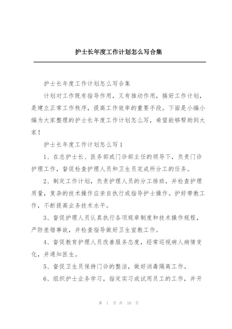 护士长年度工作计划怎么写合集.docx