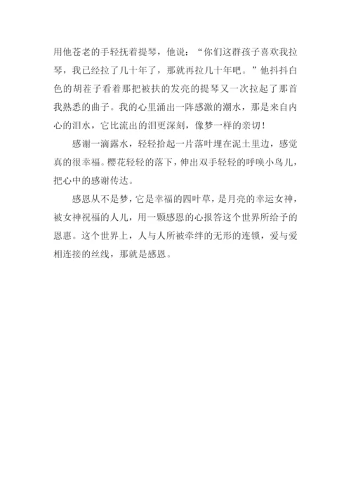 幸福四叶草作文800字.docx