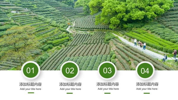 最美乡村旅游新农村建设乡村建设乡村旅游画册PPT