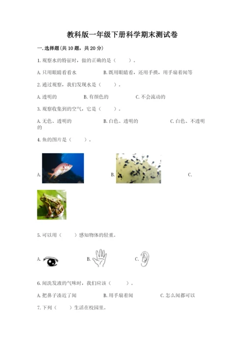 教科版一年级下册科学期末测试卷精品（巩固）.docx