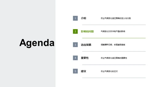 农业气候变化适应策略