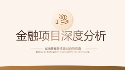 高端大气金融项目深度分析工作总结汇报PPT