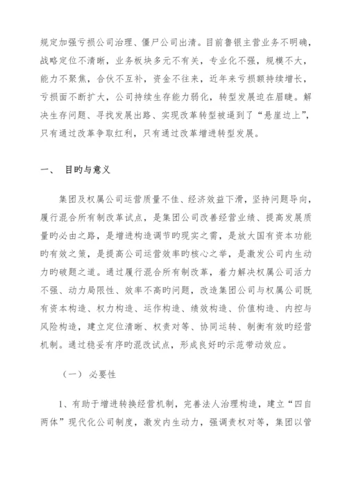 混改工作专题方案.docx