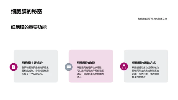 细胞知识讲解PPT模板