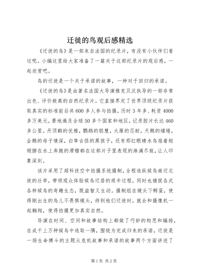 迁徙的鸟观后感精选.docx