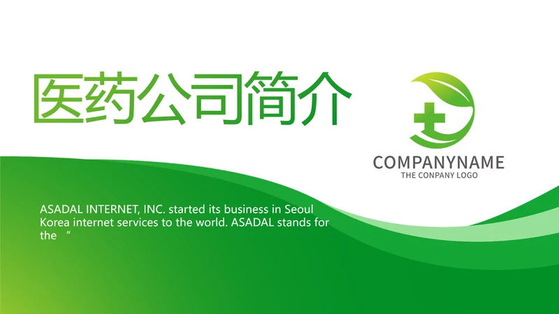 绿色简约医疗医药公司简介总结PPT