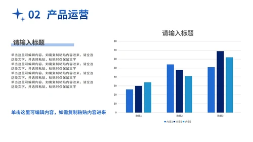 蓝金大气商务实景项目计划书