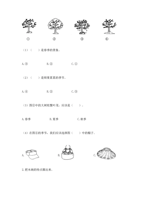 教科版二年级上册科学期末测试卷（有一套）word版.docx