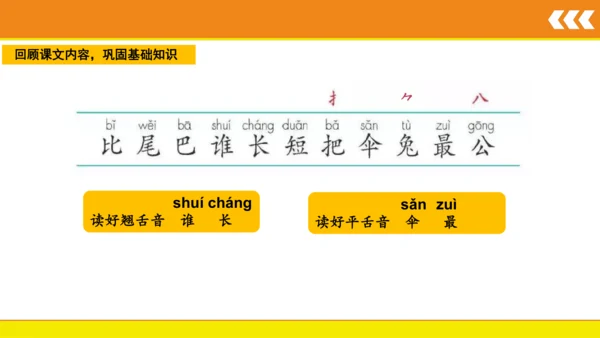 6 比尾巴  课件