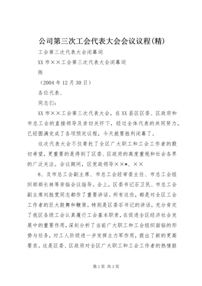 公司第三次工会代表大会会议议程(精) (2).docx