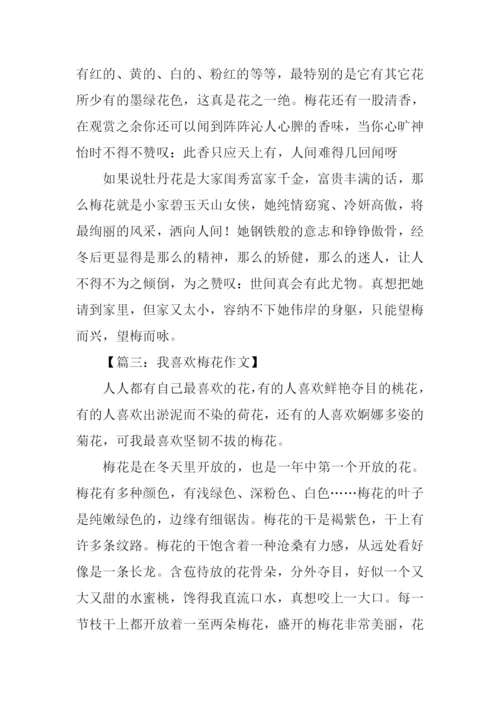 梅花的作文550字.docx