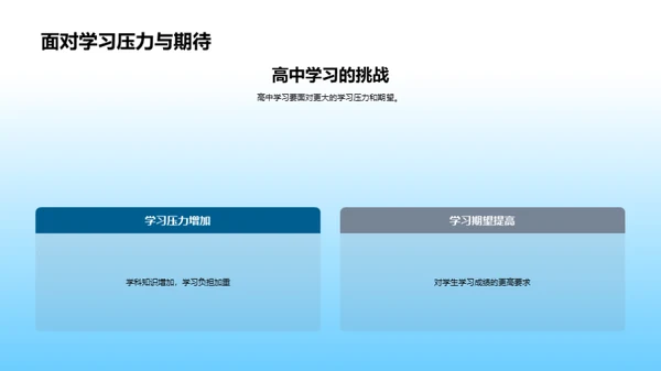 高效学习新策略