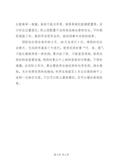 如何做好绿化养护的心得体会 (3).docx