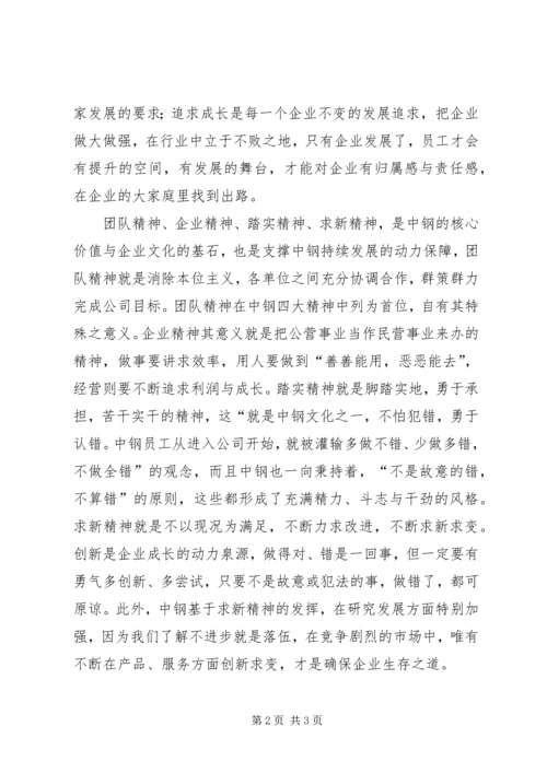 学习中钢文化心得体会.docx