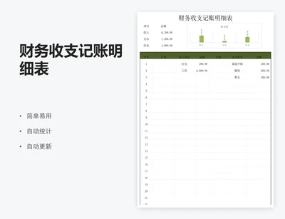 财务收支记账明细表