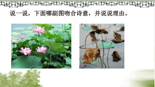 【同步课件】部编版语文三年级上册  4.古诗三首《山行》《赠刘景文》《夜书所见》   课件（3课时）