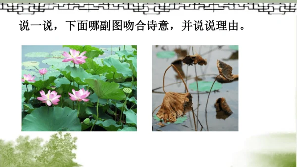 【同步课件】部编版语文三年级上册  4.古诗三首《山行》《赠刘景文》《夜书所见》   课件（3课时）