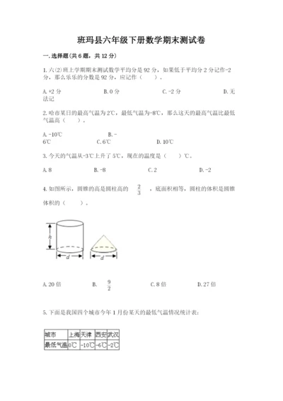 班玛县六年级下册数学期末测试卷（完整版）.docx