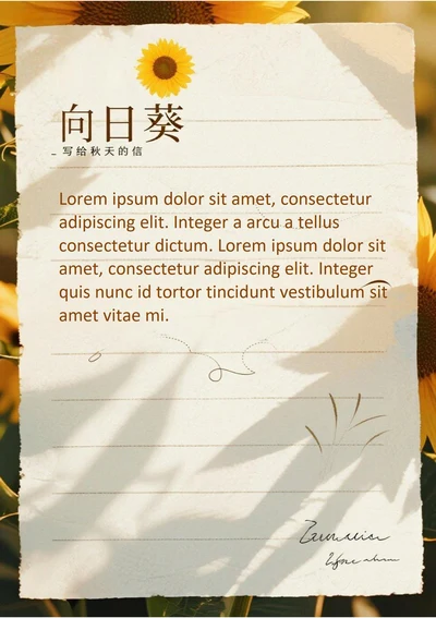 8月向日葵信纸