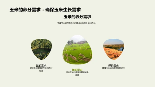 农作物施肥精准手册
