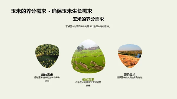 农作物施肥精准手册