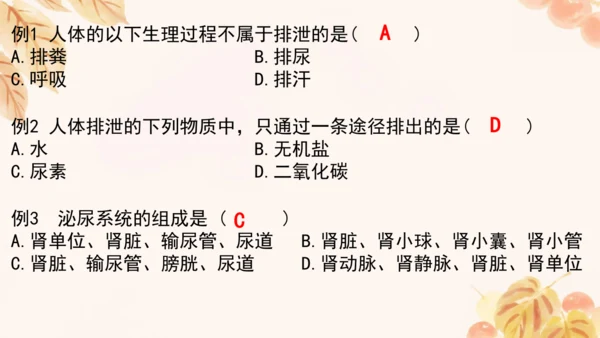 第四单元第五、六章复习课件(共33张PPT)人教版七年级下册
