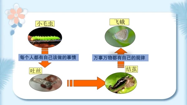 22.小毛虫（第二课时）教学课件