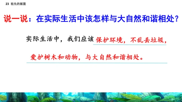23祖先的摇篮（课件）
