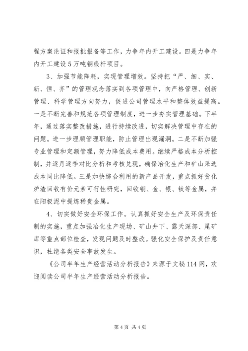 公司半年生产经营活动分析报告.docx