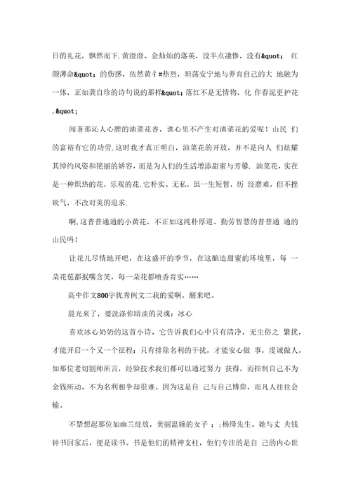 高中作文800字优秀例文