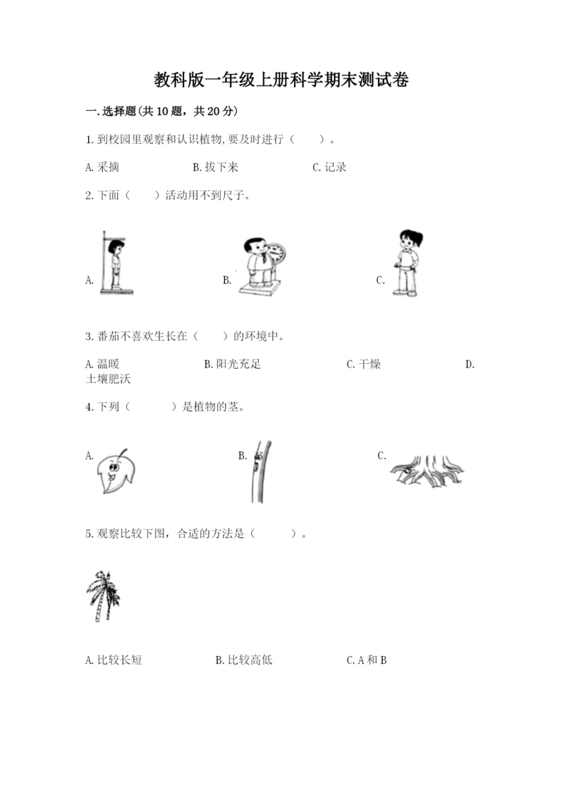 教科版一年级上册科学期末测试卷精品及答案.docx