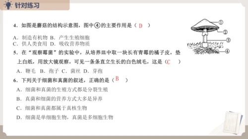 人教版生物八年级上册2.3 细菌、真菌和病毒 本章复习课件(共23张PPT)+视频素材