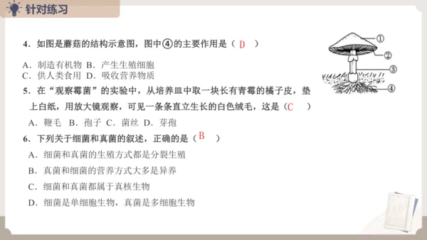 人教版生物八年级上册2.3 细菌、真菌和病毒 本章复习课件(共23张PPT)+视频素材