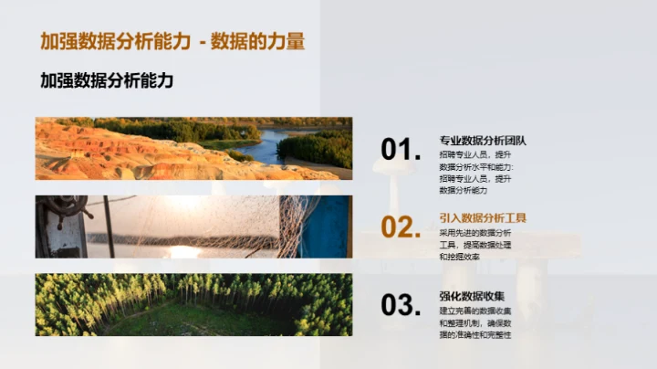 食用菌市场：全面解析