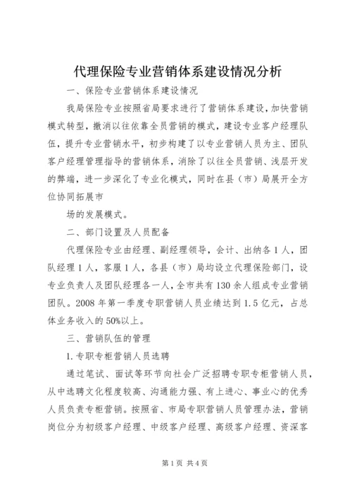 代理保险专业营销体系建设情况分析.docx