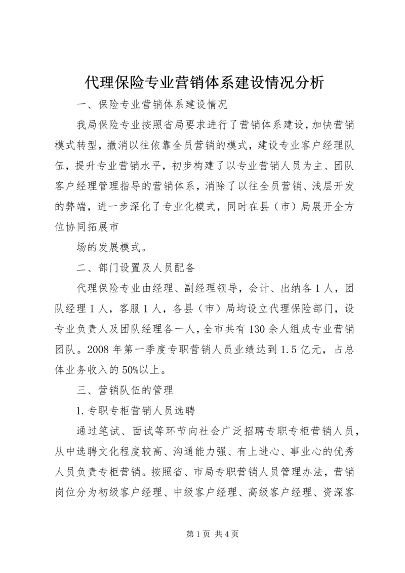 代理保险专业营销体系建设情况分析.docx